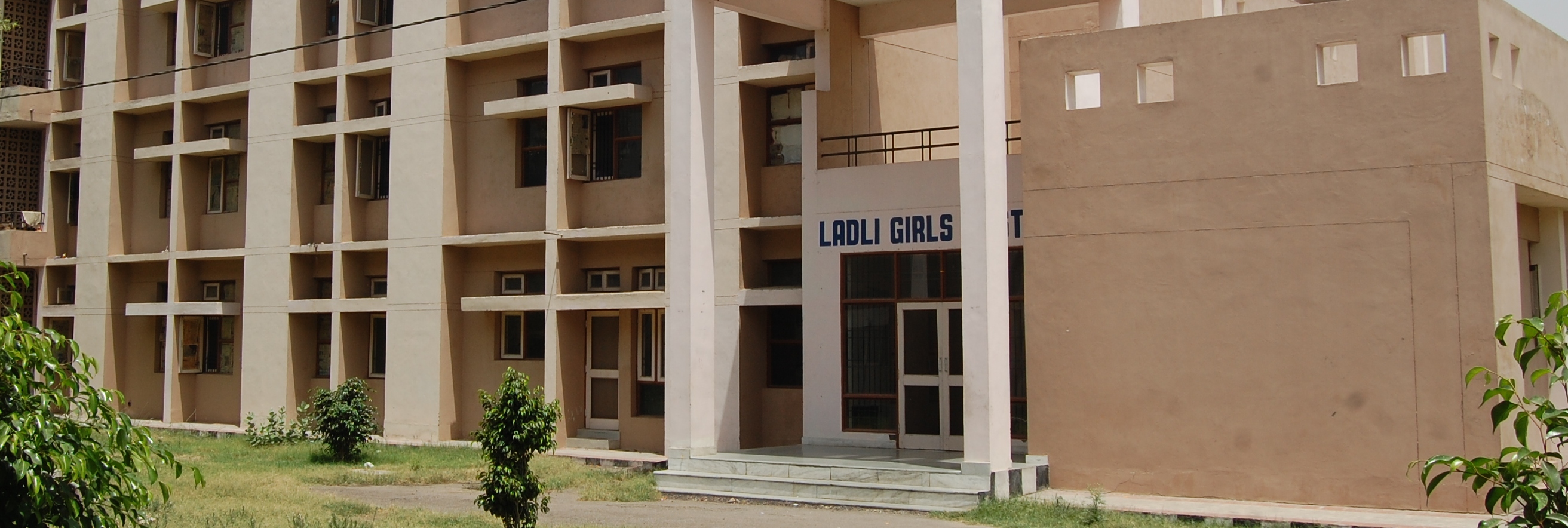 College Banner 6
